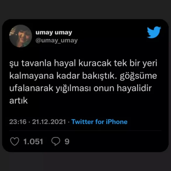 instagram-hikayelerde-ekran-görüntüsü-almadan-tweet-paylaşma